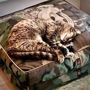 Dog Bed Cover Superhero Captain America